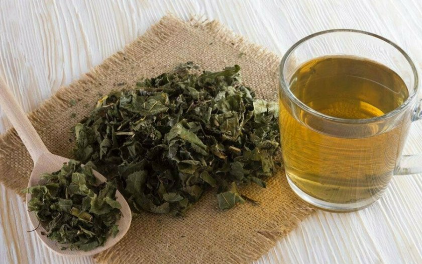 Отвар из листьев калины