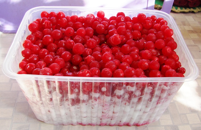 замороженные ягоды калины