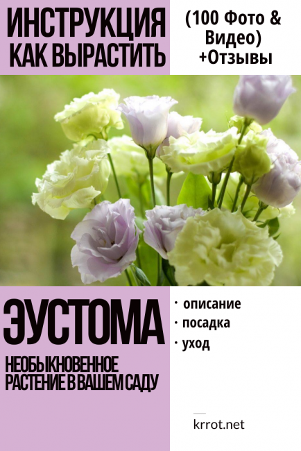 Эустома