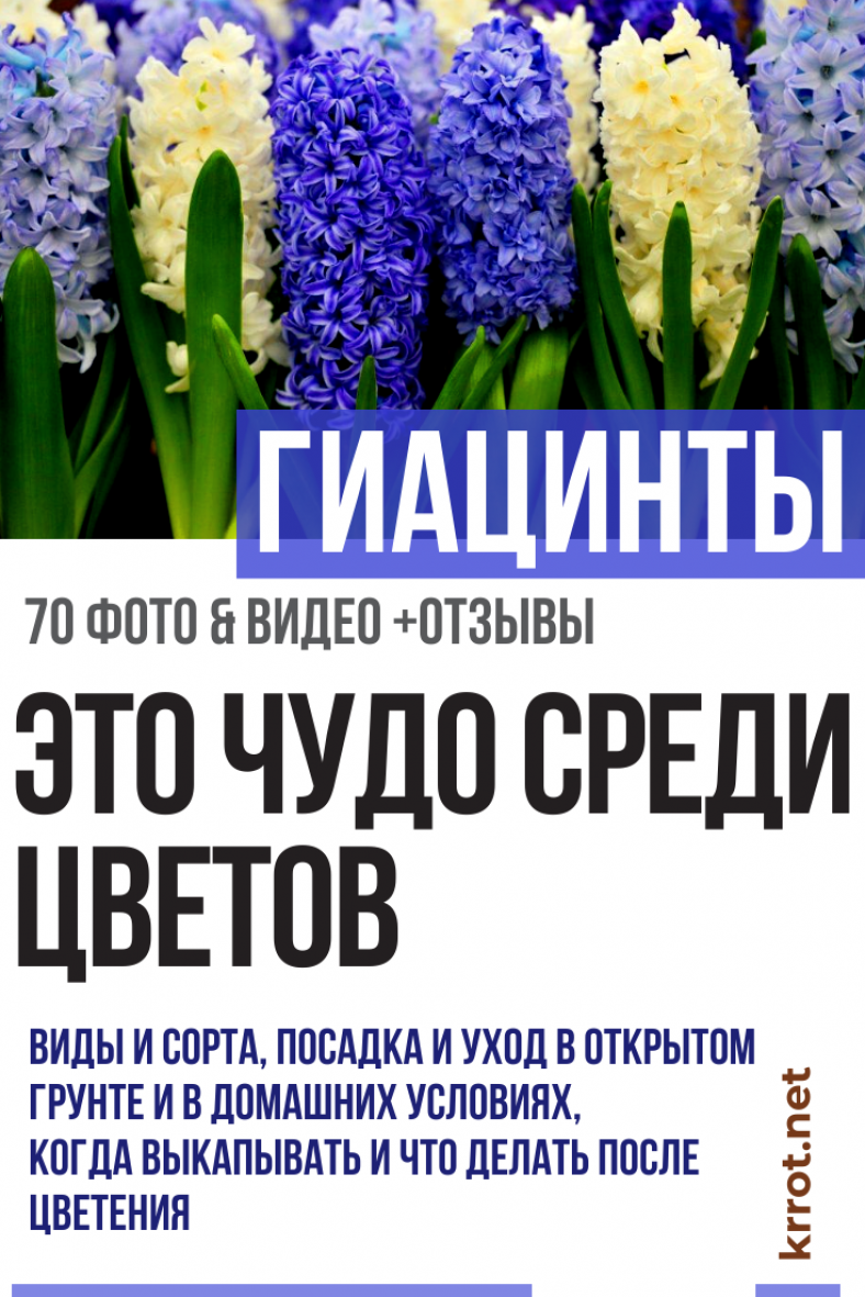 Балансиры для ловли своими руками Балансиры для ловли своими руками