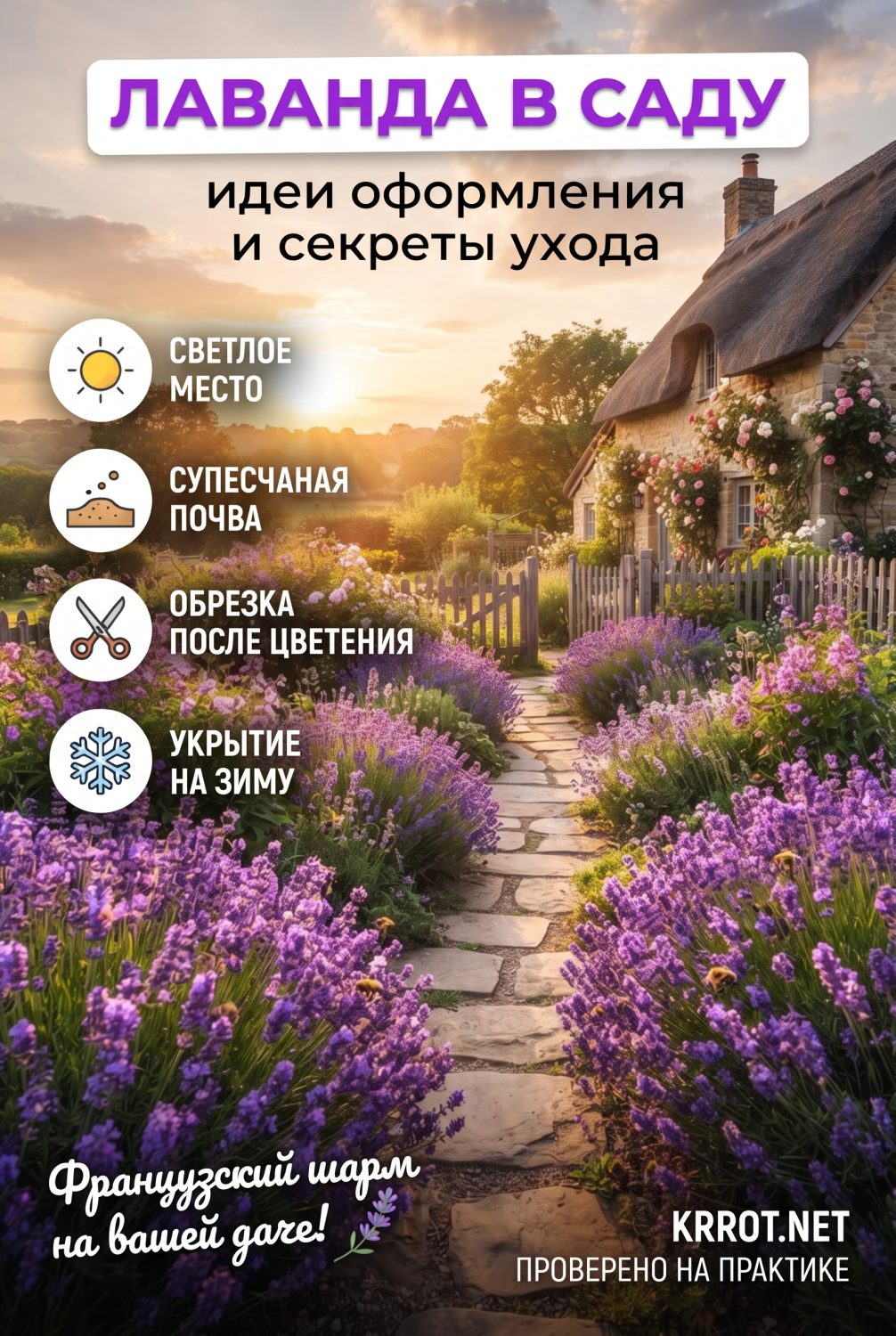 Денежное дерево на подоконнике