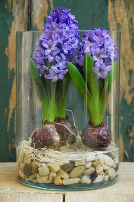 Цветы в вазе с декоративными камешками