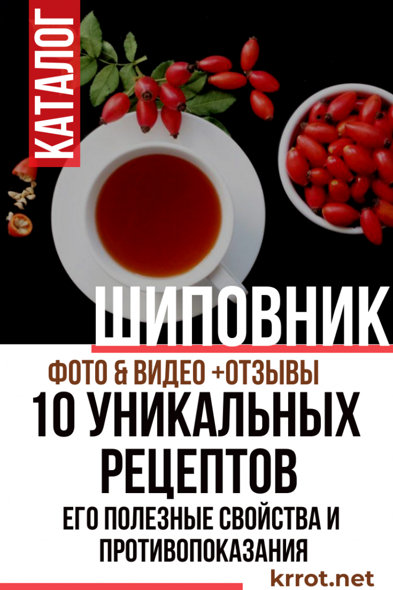 Шиповник: Полезные свойства и Противопоказания +Отзывы