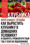 Клубника