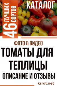 Лучшие 46 Сортов Томатов для Теплицы: Описание, Фото, Отзывы