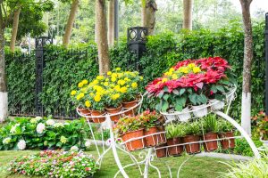 Многолетние цветы (33 основных вида): садовый каталог для дачи с фото и названиями | Видео +Отзывы