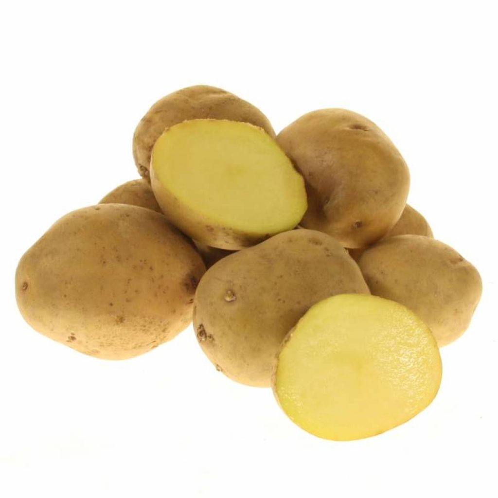 Картофель семенной Джелли