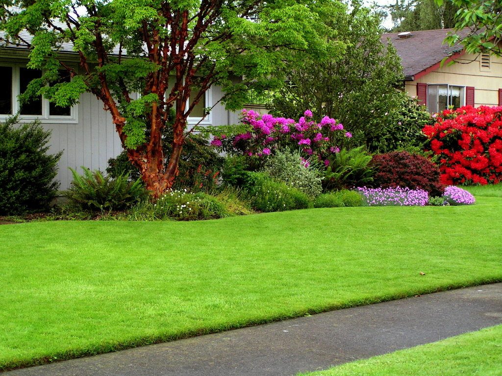 Изумрудная зелень газона обладает потрясающим эффектом, она подчеркивает все элементы сада, скульптуры, одиночно растущие деревца, красную кирпичную плитку на садовой дорожке.