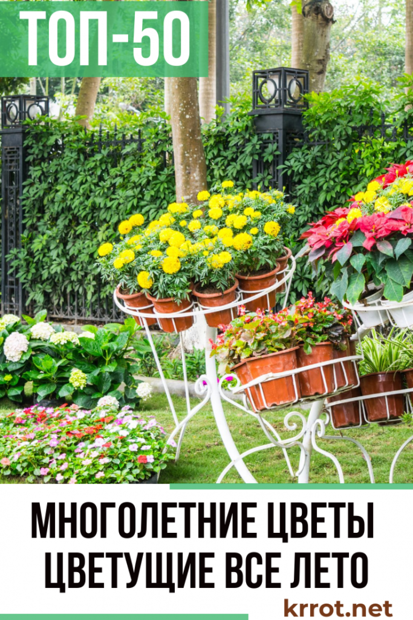 Многолетние Цветы: ТОП-50 Садовый Каталог c Фото - Krrot.net