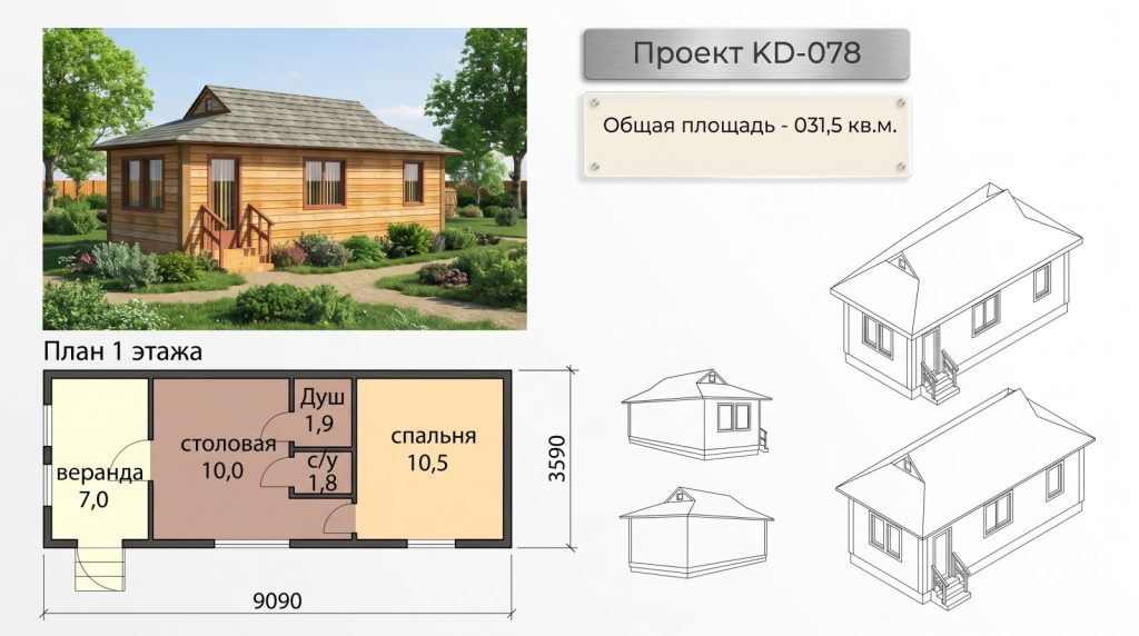 Проект большого дома
