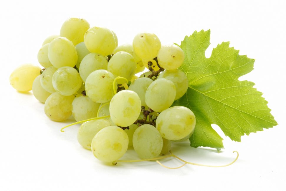 Белый виноград сорт