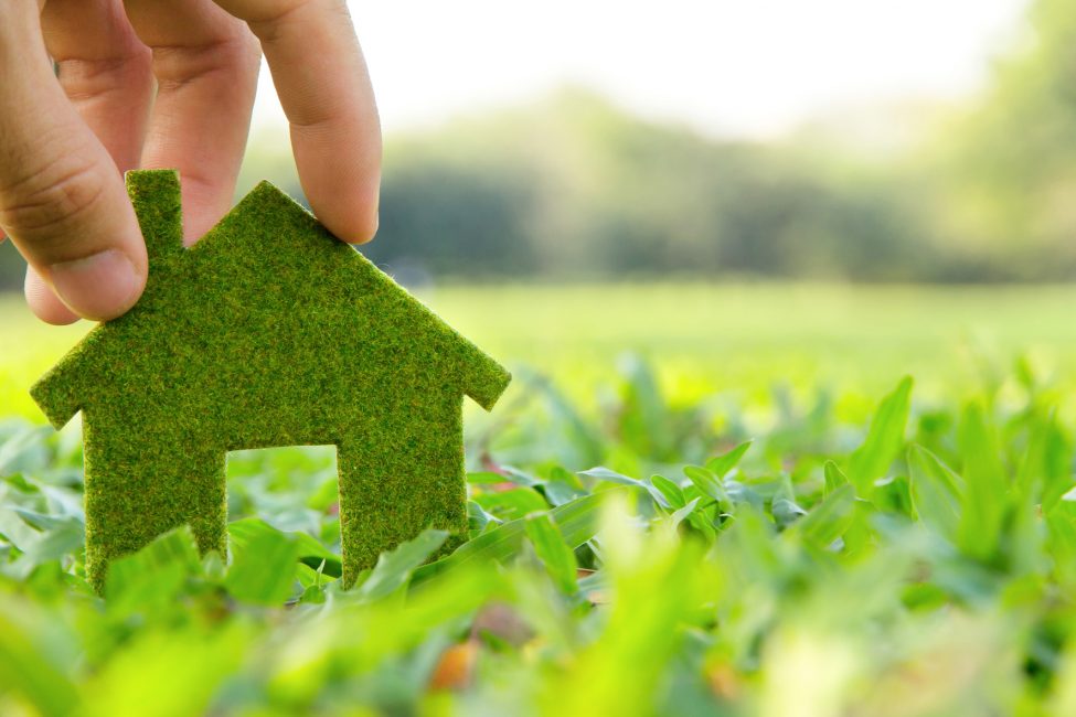 зеленый домик символ экологичности 