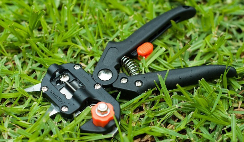 Секатор - обязательный инструмент хорошего садовода