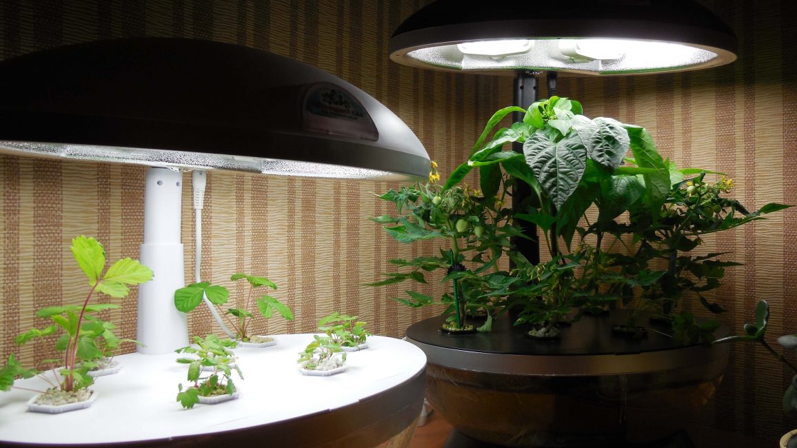 Искусственное освещение растений для лучшего роста