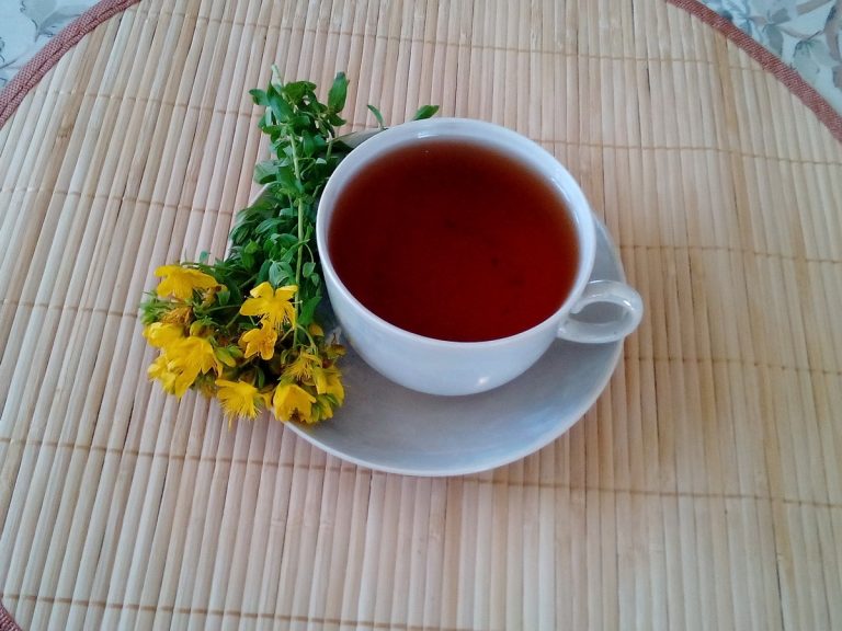 Трава Зверобой: Лечебные Свойства и Противопоказания +Отзывы