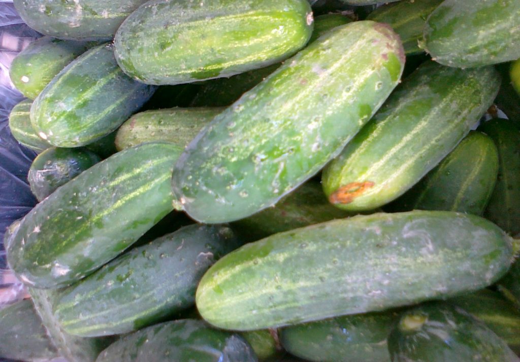 Аристократ F1