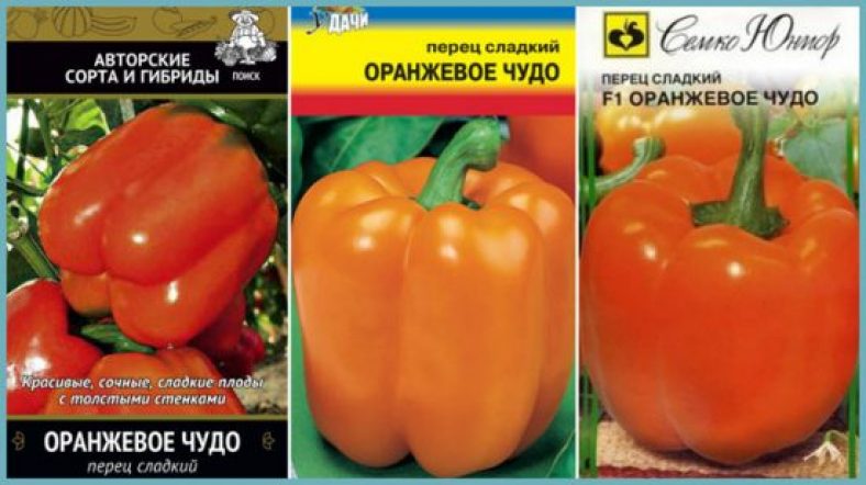 19 Сортов Сладкого Перца: Описание, Характеристика +Отзывы