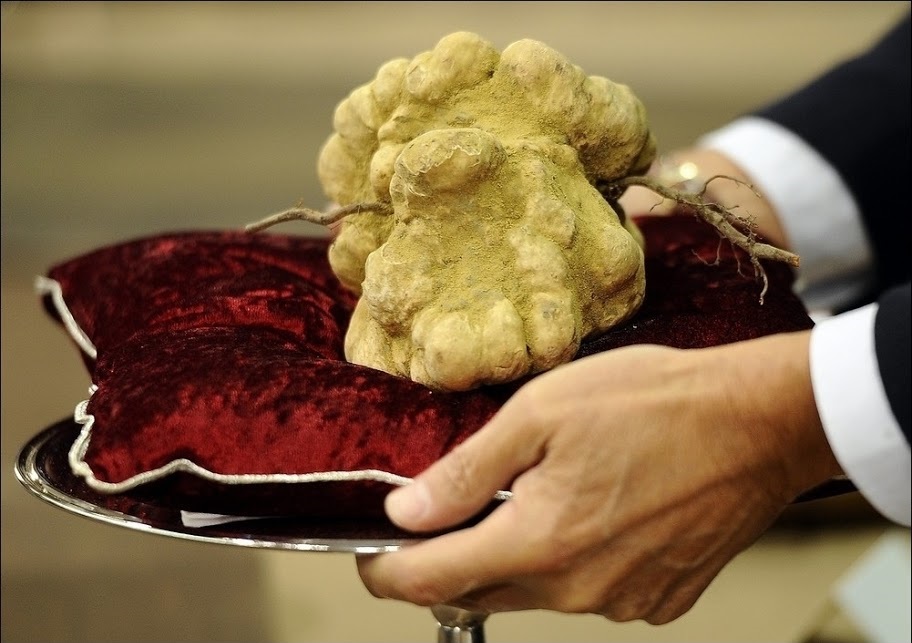 900 граммовый белый трюфель