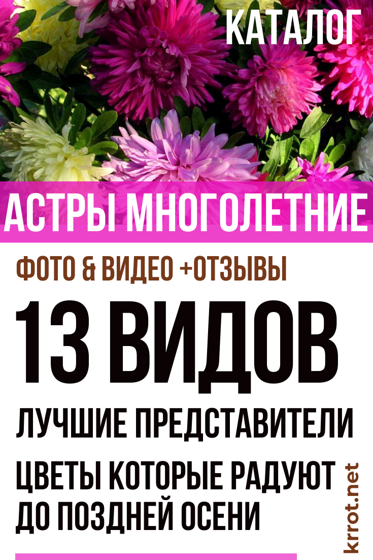 Как с помощью магии вернуть любимую девушку если она тебя Как с помощью магии вернуть любимую девушку если она тебя