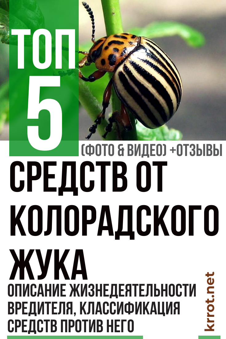 ТОП-5 Лучших Средств от Колорадского Жука | +Отзывы