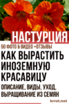 настурция выращивание из семян