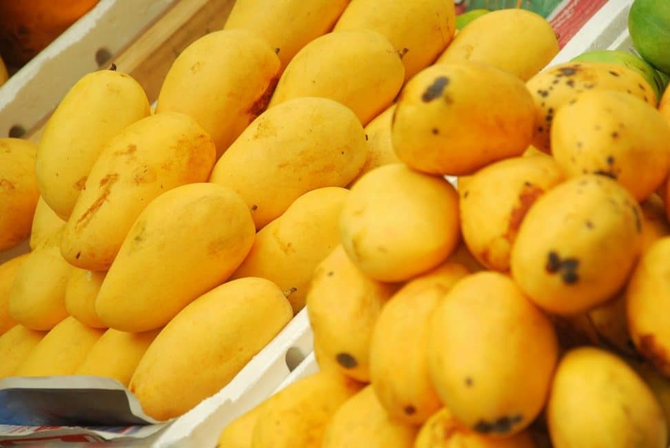 Зрелые плоды манго