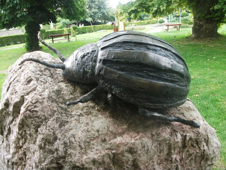 Памятник жуку. От благодарных фермеров Венгрии в честь 50 лет его появления в стране