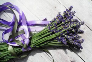 Выращивание Лаванды из семян у себя дома: описание, разновидности, посадка и уход, стратификация | (50+ Фото & Видео) +Отзывы Выращивание Лаванды из семян у себя дома: описание, разновидности, посадка и уход, стратификация | (50+ Фото & Видео) +Отзывы
