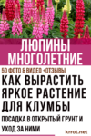 Люпины многолетние: описание растения, выращивание из семян, посадка в открытый грунт и уход за ними (50+ Фото & Видео) +Отзывы люпины посадка и уход