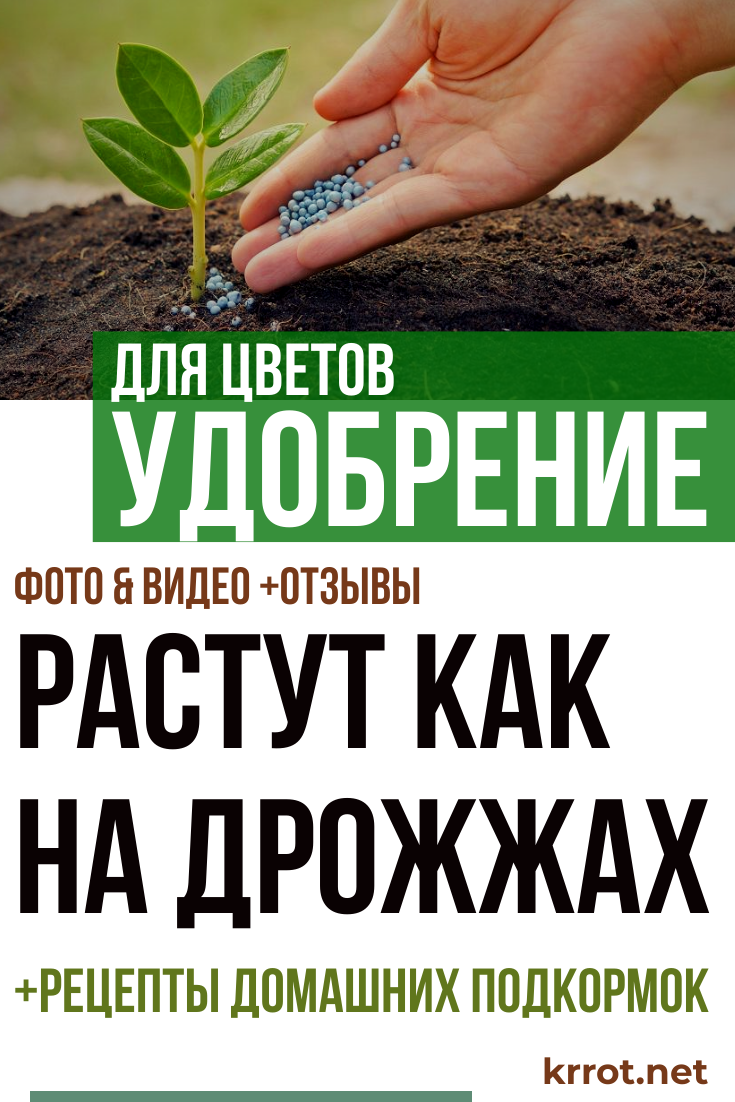 Из чего сделать фундамент под теплицу из поликарбоната своими руками Из чего сделать фундамент под теплицу из поликарбоната своими руками