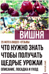 Вишня: Описание, Сорта, Посадка, Уход (25 Фото) +Отзывы