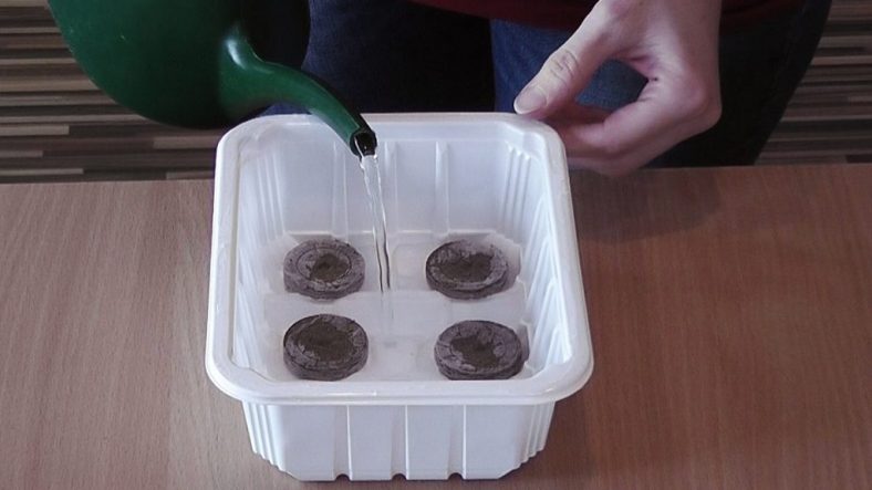 Торфяные Таблетки: как правильно пользоваться (Видео)+Отзывы