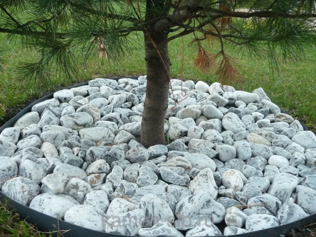 Галька вокруг ствола