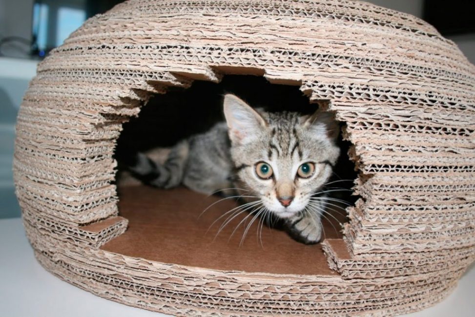 Домики для кошек с когтеточкой своими руками от начала до конца с чертежом фото