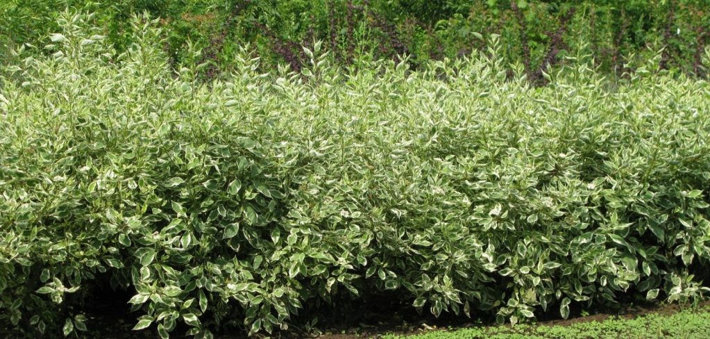 Дополнительный доход можно получить без особых усилий