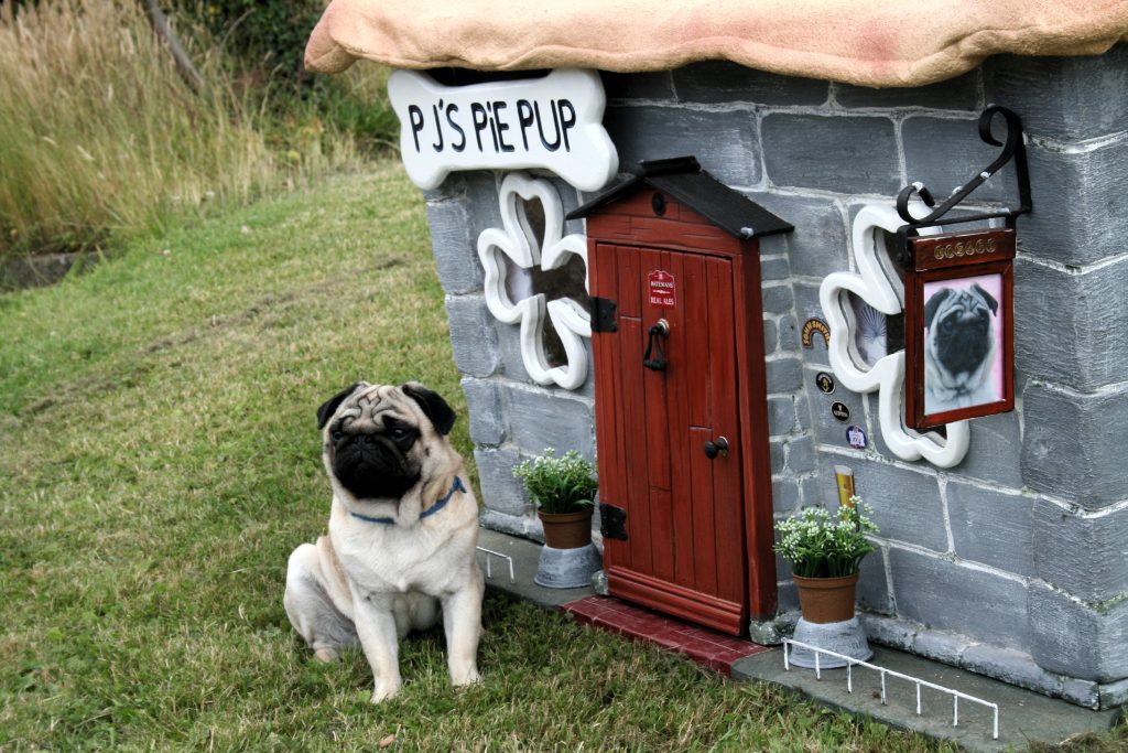 Каменная будка для мопса