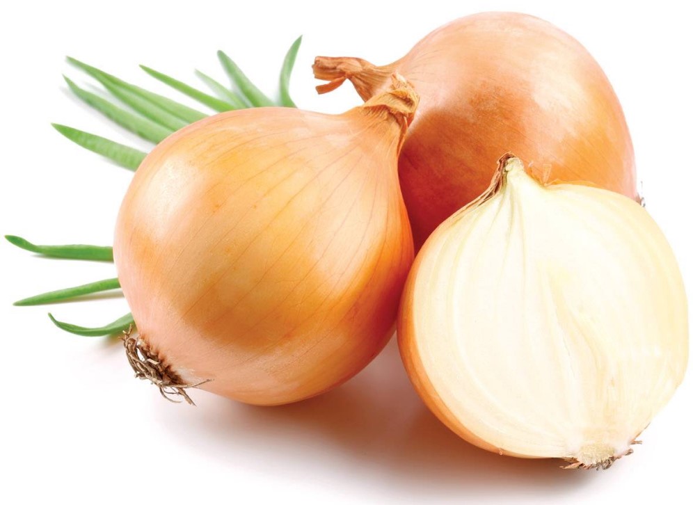 Лук репчатый