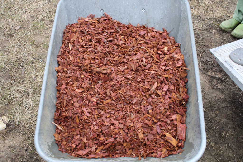 К зиме необходимо провести мульчирование почвы