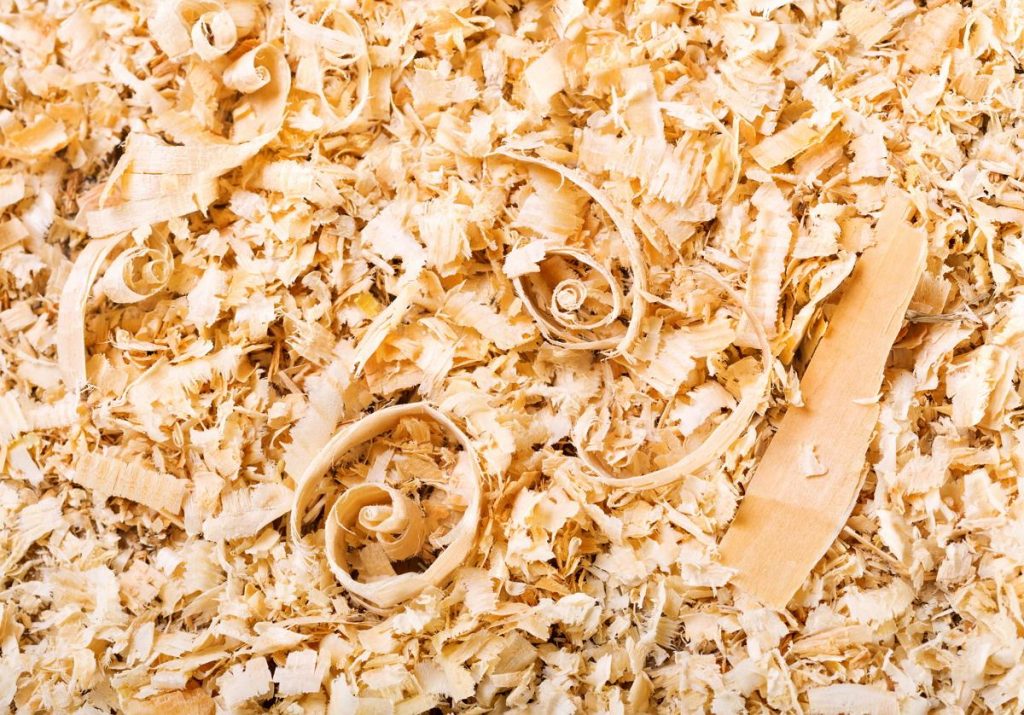 Обычная древесная стружка – хорошее решение для утепления приствольных кругов