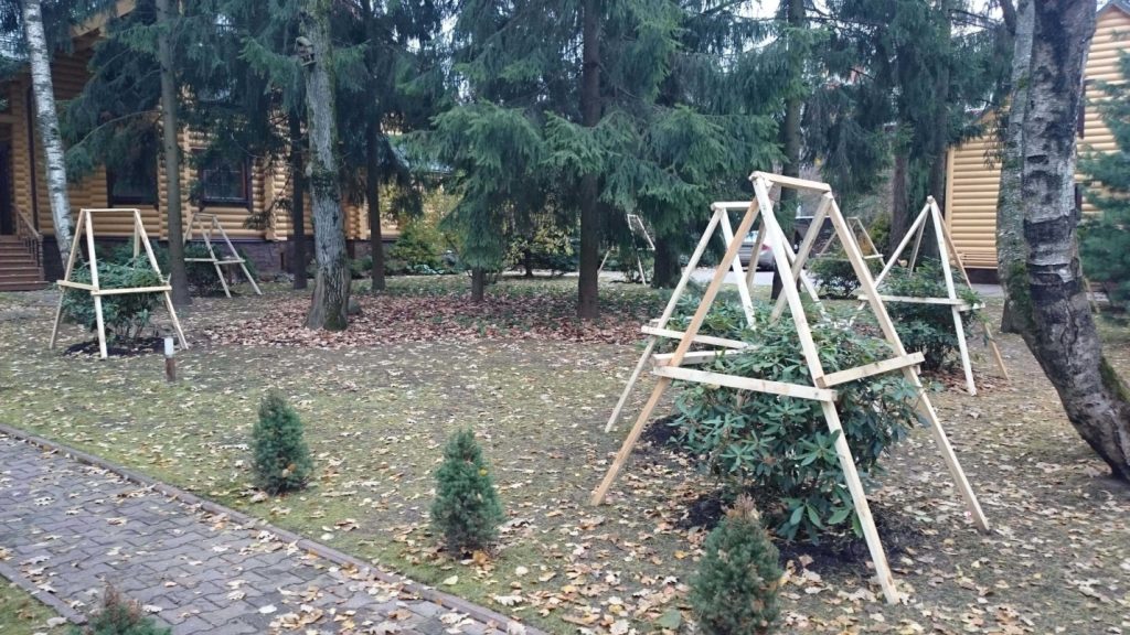 Осталось натянуть утеплитель на каркас – кустик не замерзнет