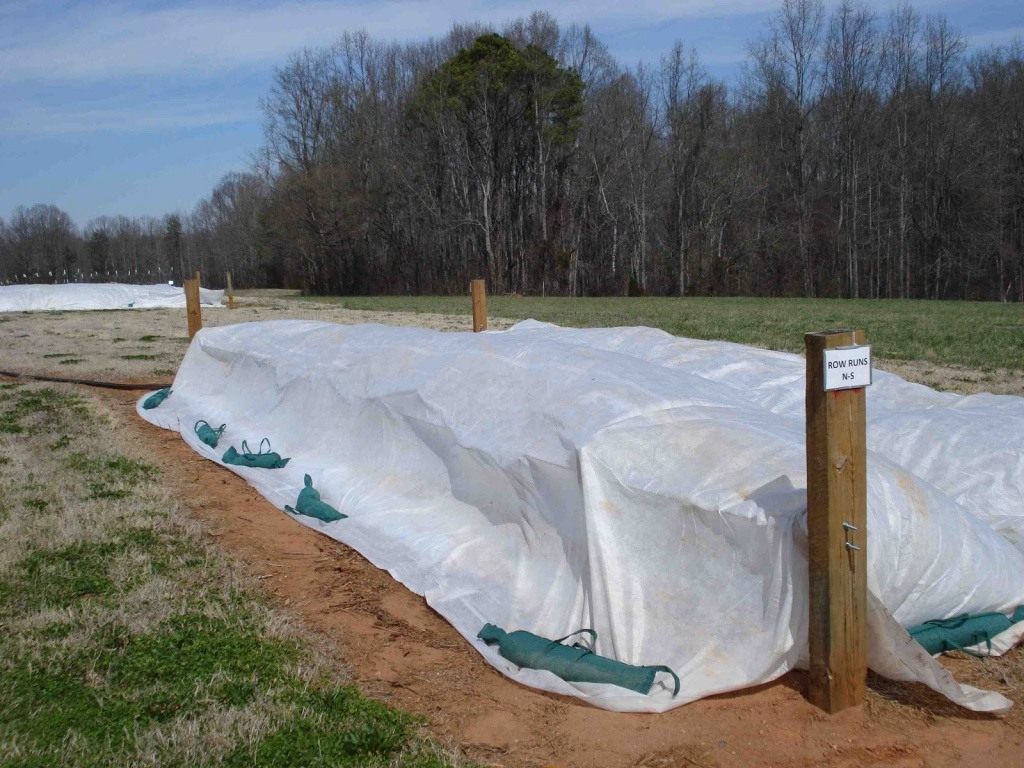 Простое укрытие кустов