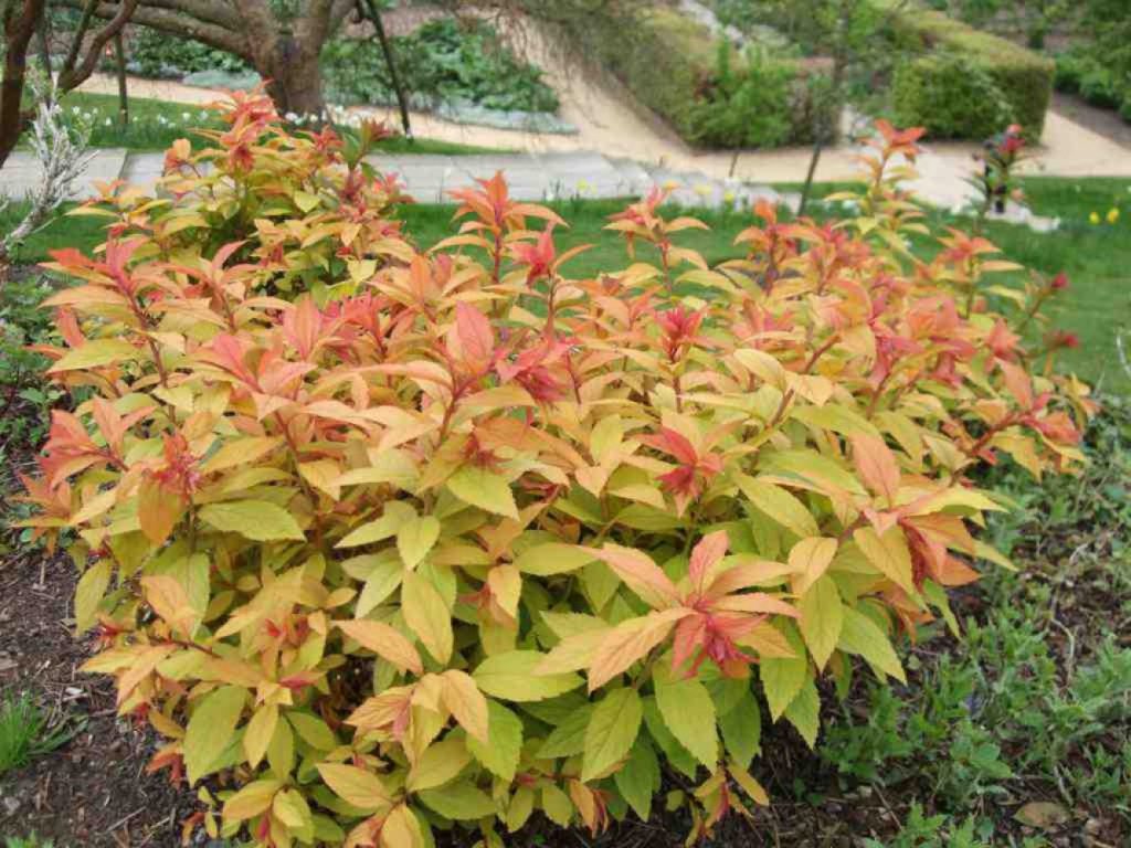 Самое удачное время для посадки - осень