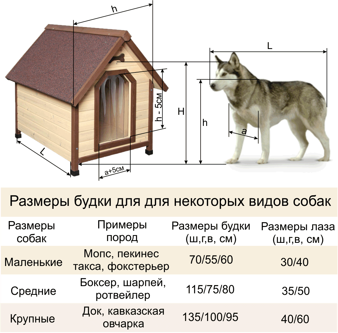 размеры членов больших собак фото 110