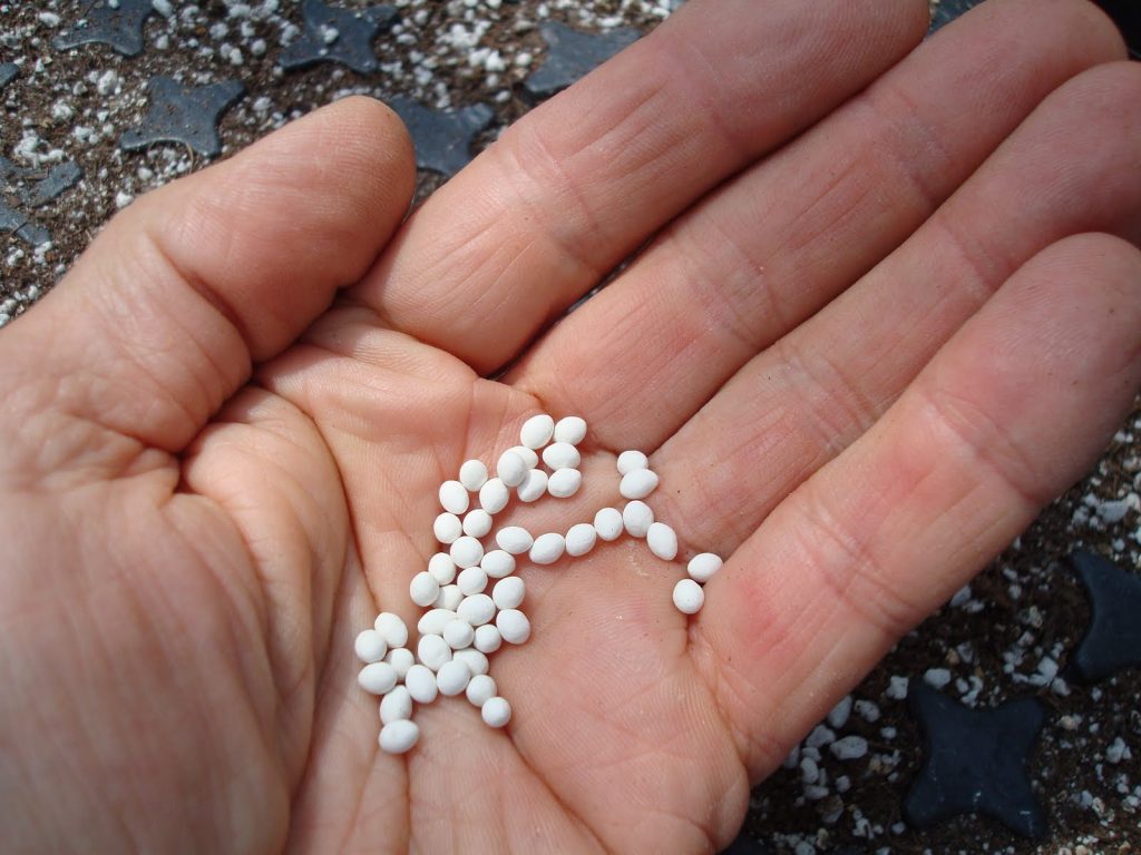 Дражированные промышленным способом семена