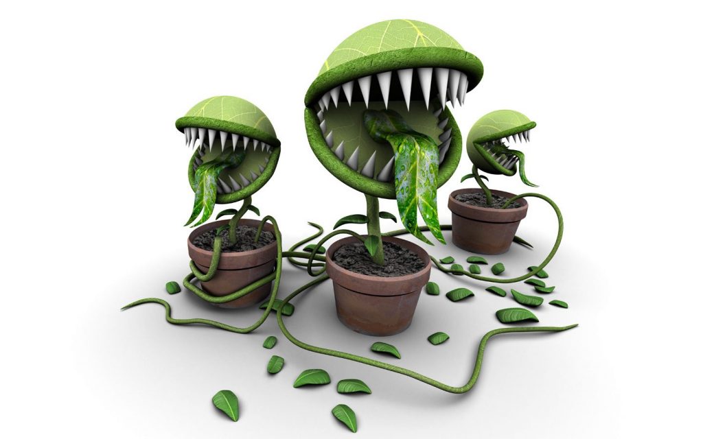 Внешний вид некоторых растений может вызывать страх у ребенка