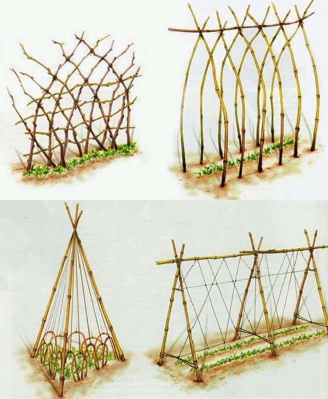 Шпалеры для гороха