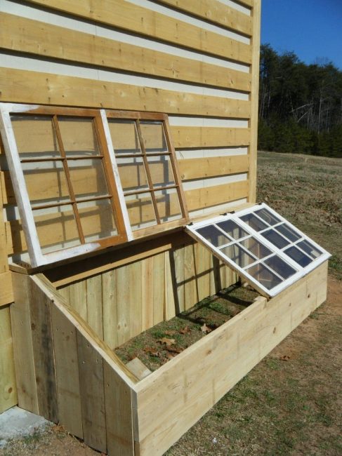 DIY Mini Greenhouse 6 1