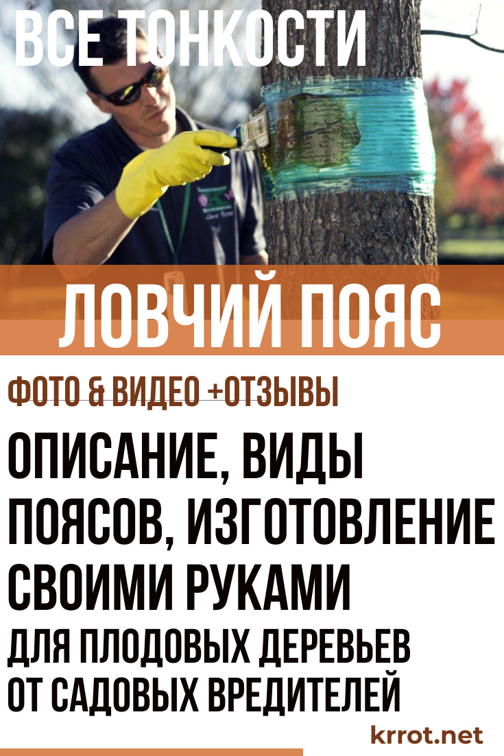 Ловчий пояс