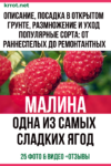 Малина - одна из самых сладких ягод. Описание, посадка в открытом грунте, размножение и уход. Популярные сорта: от раннеспелых до ремонтантных (25 Фото & Видео) +Отзывы Малина
