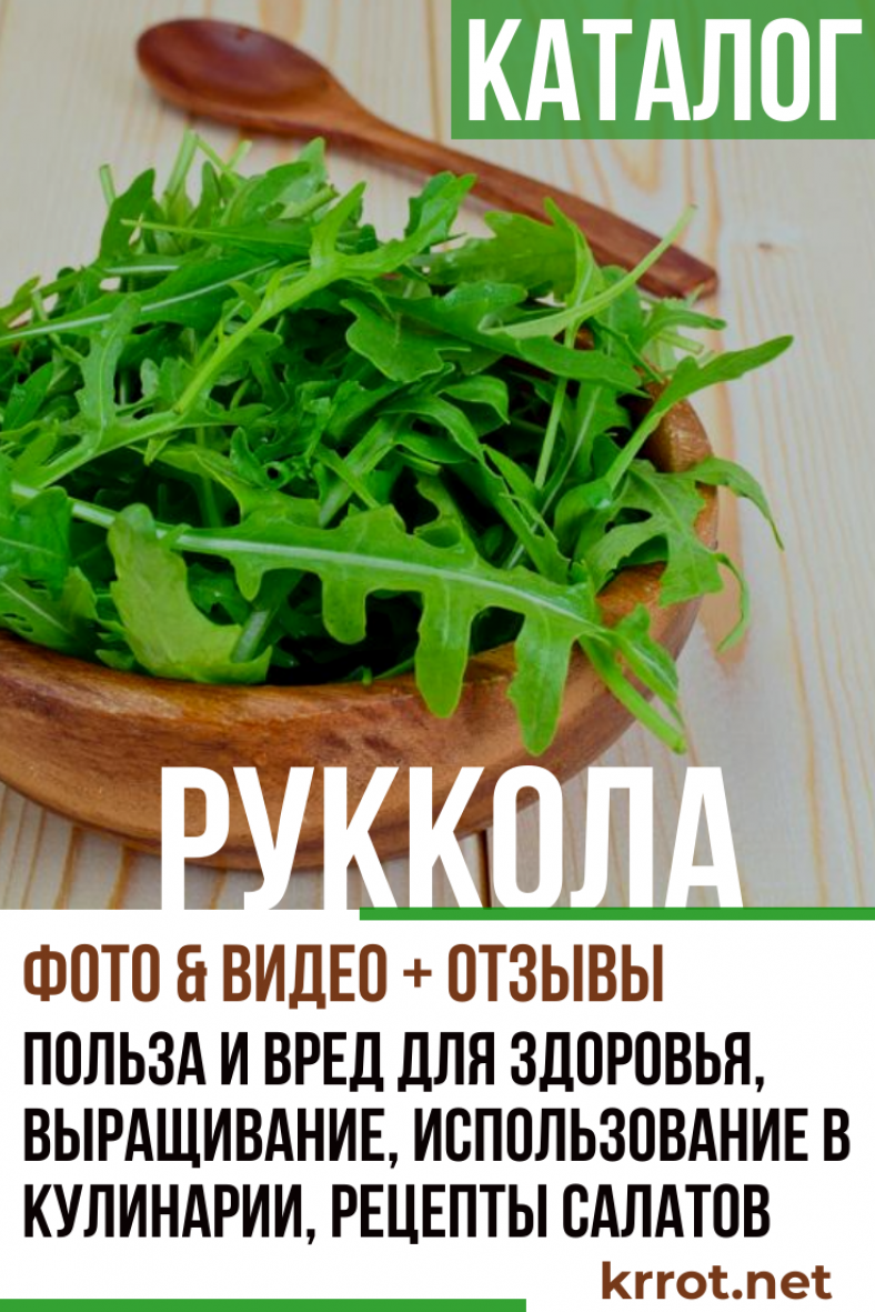 Стрелы купидона руккола описание и фото